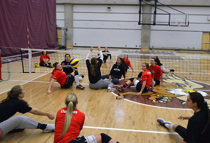 Members of the MacEwan Griffins women's volleyball team (black shirts) team up with players from Team Canada's women's sitting volleyball team to try the Paralympic sport during practice on Friday.