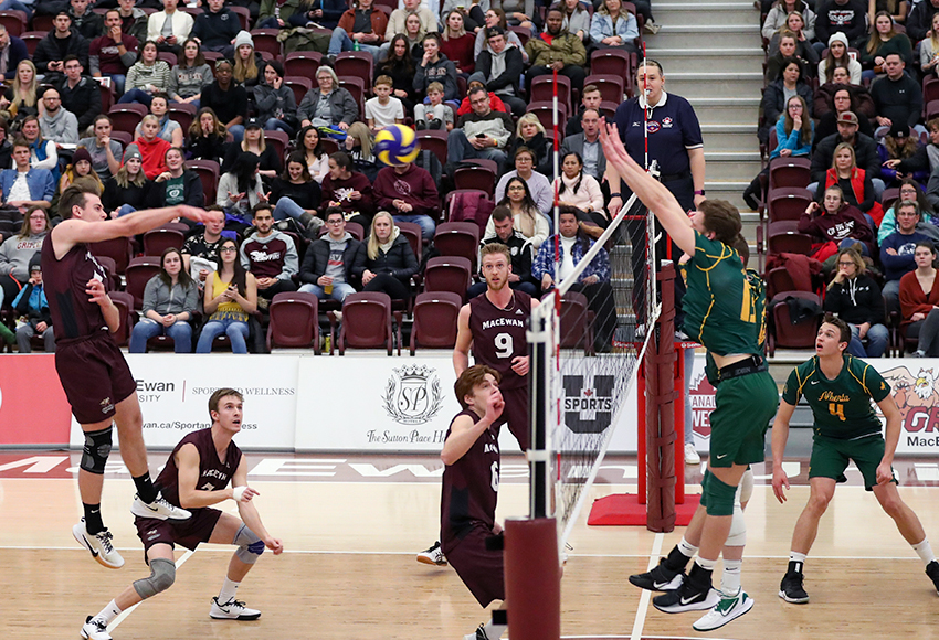 Jefferson Morrow hits against the Alberta block in front a packed house at the David Atkinson Gym on Friday night. The Bears won 3-0 (Eduardo Perez photo).