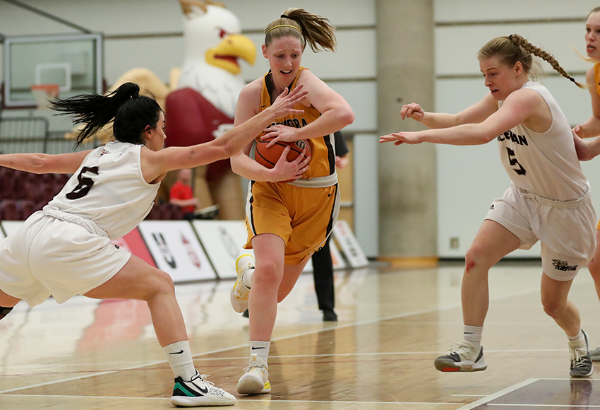 Griffins defenders Drew Knox, left, and Haley Lalor try to contain Manitoba's Taylor Randall on Friday. She dropped 31 points on MacEwan as the Bisons won 77-61 (Eduardo Perez photo).
